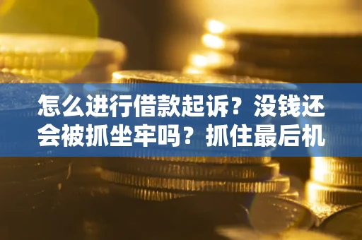 济南怎么进行借款起诉？没钱还会被抓坐牢吗？抓住最后机会！