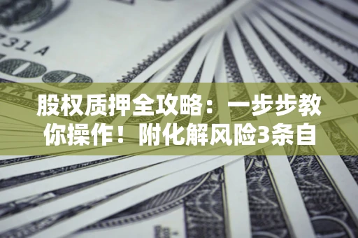 济南股权质押全攻略：一步步教你操作！附化解风险3条自救法则